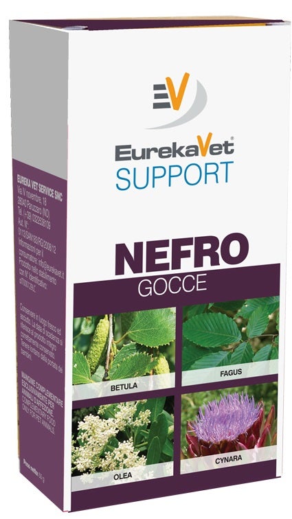 Alcea Bio Pommade 30 % Griffe du diable 100 ml