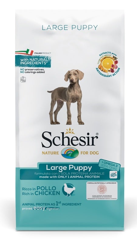 Schesir Maintenance Croquettes au poulet pour chiens adultes de grande taille, sac de 12 kg