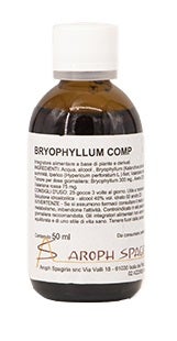 MORUS EIS PRÉPARATION 23 60ML