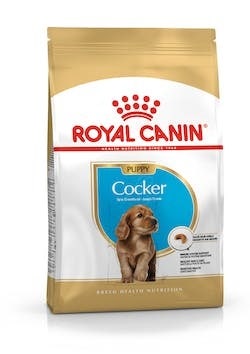 Royal Canin Digestive Care Pâtée moelleuse pour chiens Sachet 85 g