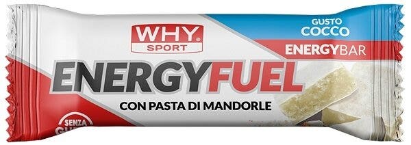 WHYSPORT ENERGY FUEL COCO 30 g