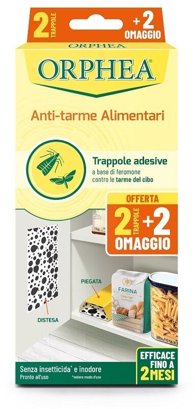 Solgar Fito-Colestrinol 100 gélules : complément alimentaire pour le cholestérol