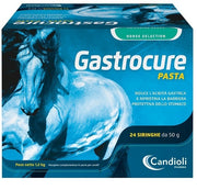 Candioli Gastrocure Pasta Per Cavalli 24 Siringhe Da 50g
