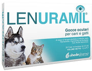 FerroFol-B12 Complément alimentaire 60 comprimés