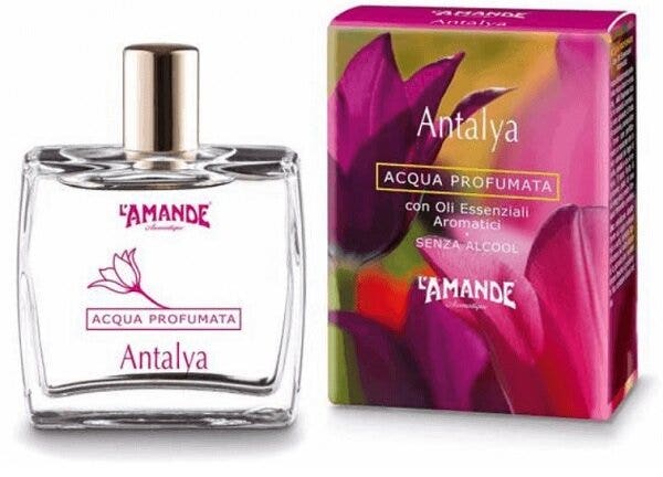 Euphidra Colorpro XD 355 Châtain foncé cerise