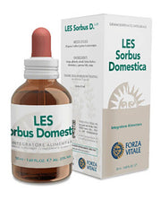SHAMPOOING À LA CAMOMILLE 250ML