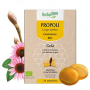 HERBALGEM PROPOLIS BIO 24 GOM