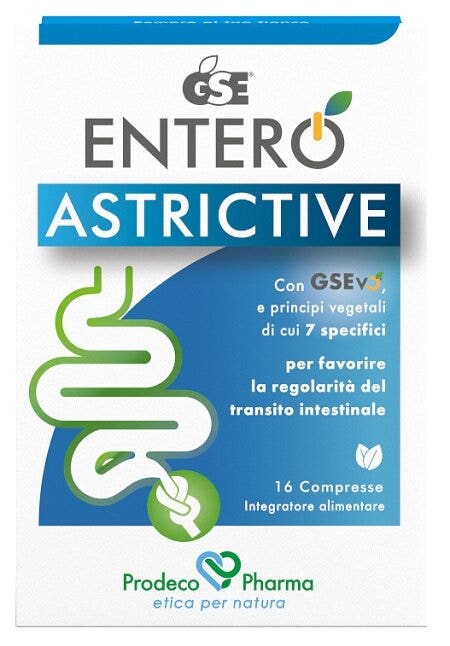 GSE ENTERO ASTRICTIVE 16 comprimés