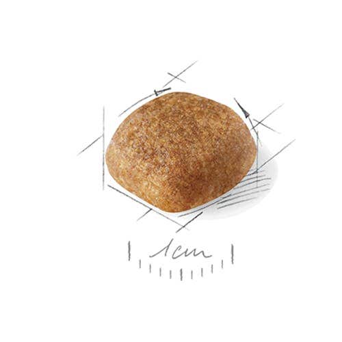 Almo Nature HFC Jelly Nourriture humide au thon et aux calamars pour chats adultes Boîte de 70 g