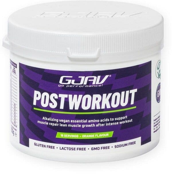 GJAV POSTWORKOUT ARANCIA 560G
