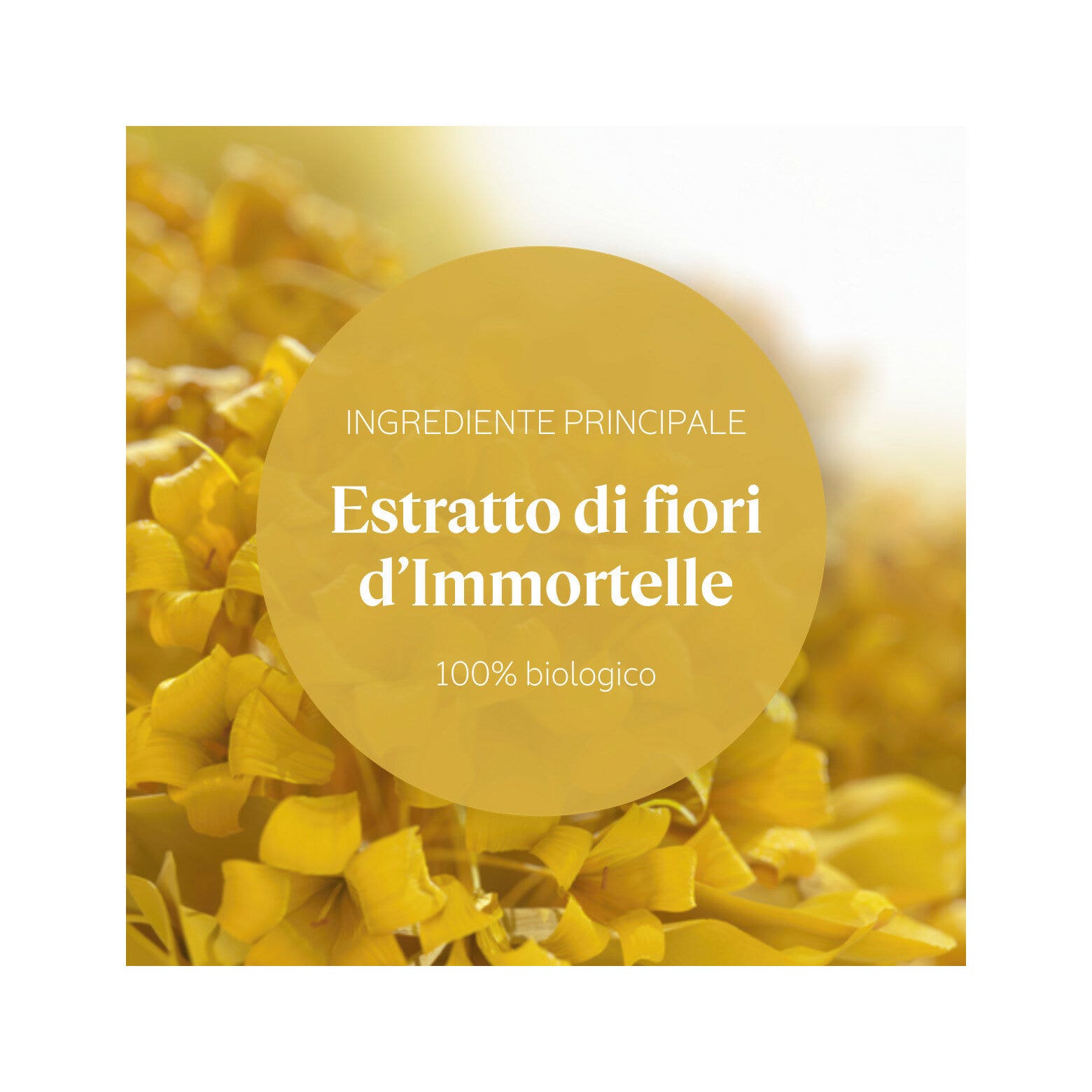 L'Occitane Immortelle Divine Crema Mani 75ml