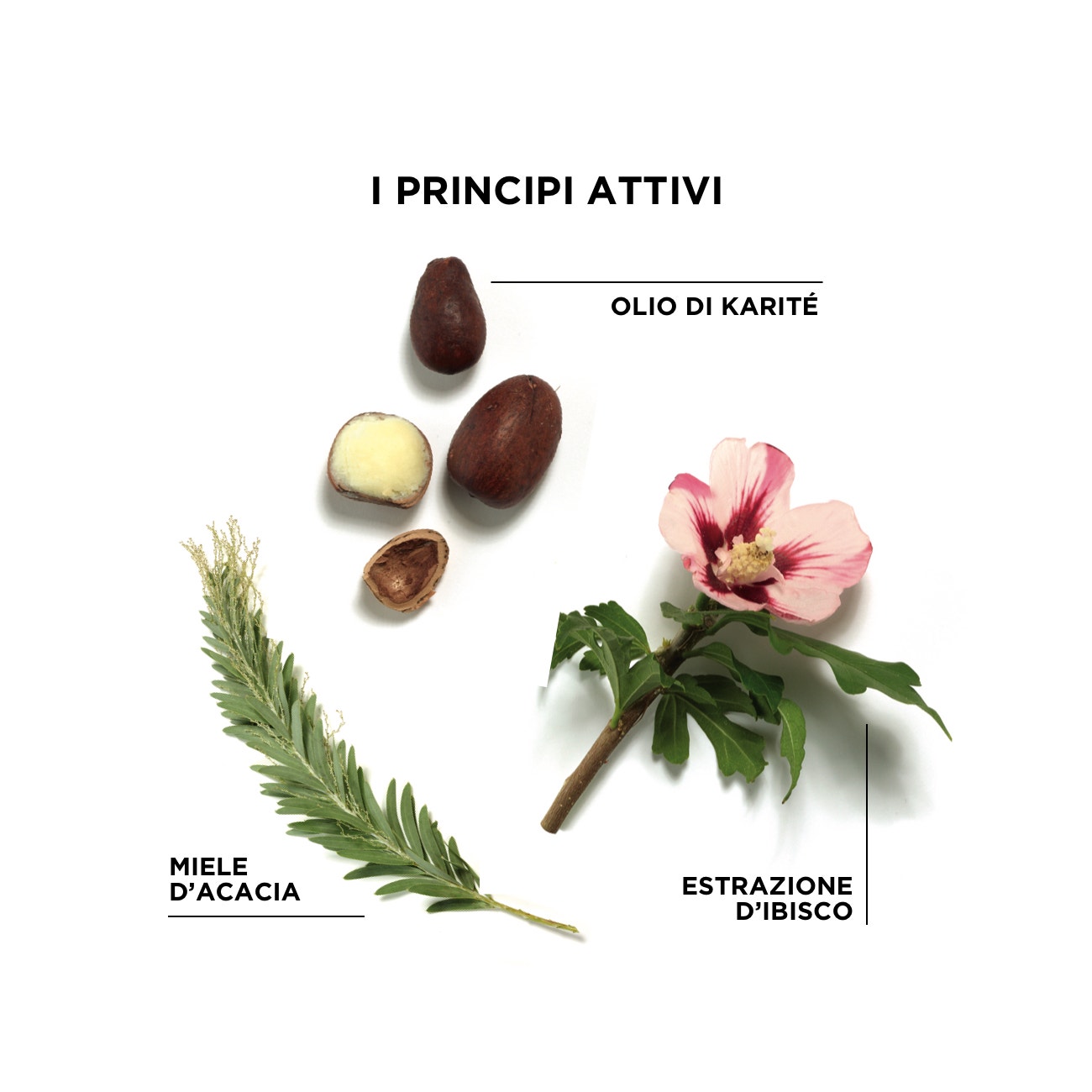 Phyto Phytospecific Kids Shampoo-Doccia Districante Magico 400ml