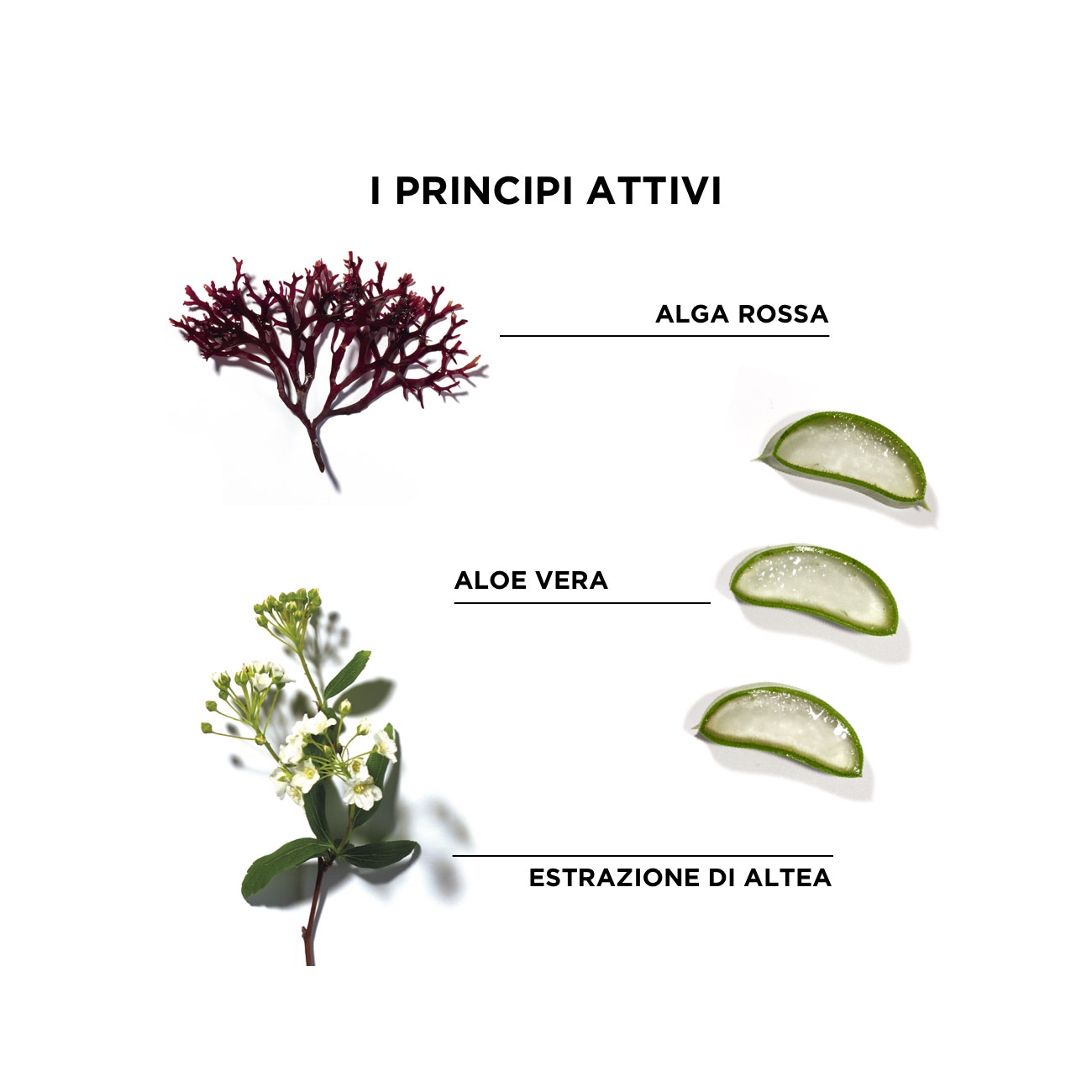 Phyto Phytodefrisant Trattamento Ritocco Anti-Crespo Per Capelli Crespi 50ml
