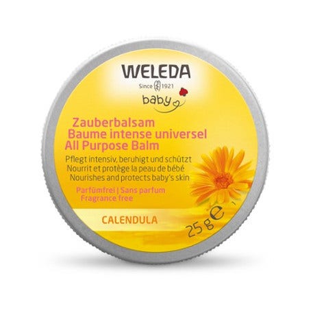 Whynature Delizia Meal Barre protéinée Biscuit 50 g