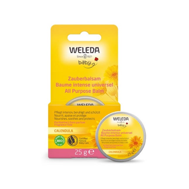 Whynature Delizia Meal Barre protéinée Biscuit 50 g