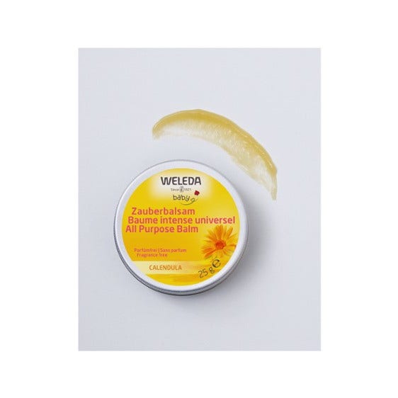 Whynature Delizia Meal Barre protéinée Biscuit 50 g