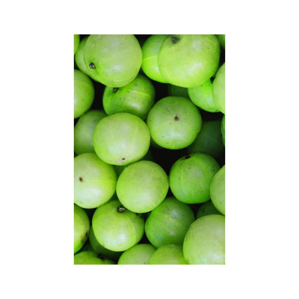 Khadi Maschera Detox Per Capelli 50g