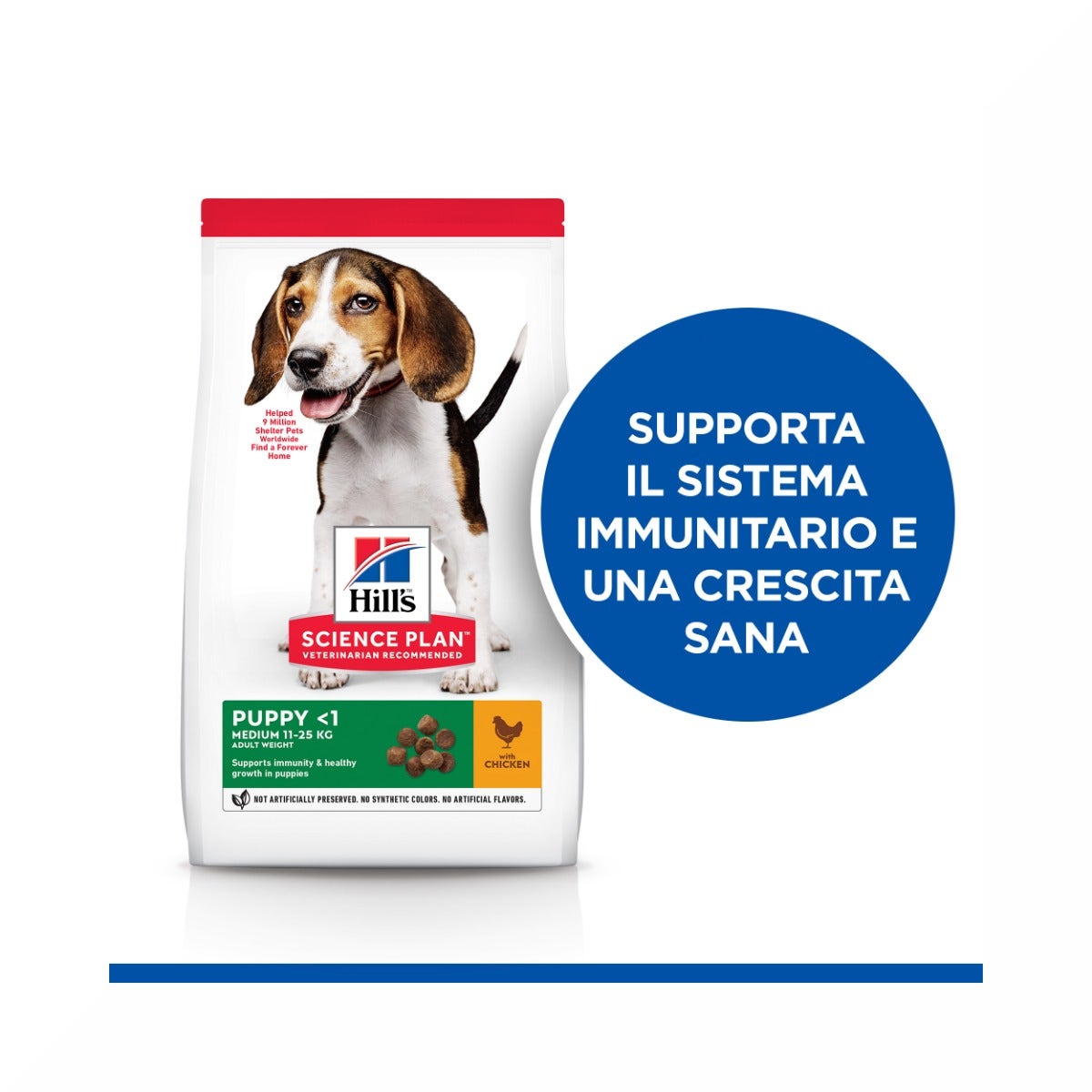 Hill's Science Plan Medium Breed Puppy Croquettes au poulet pour chiots, sac de 14 kg
