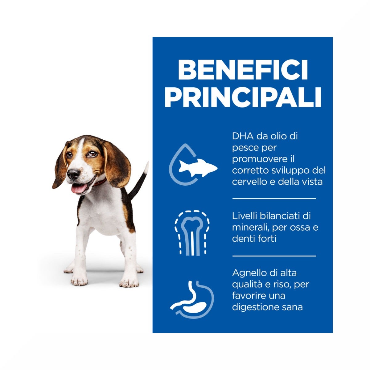 Hill's Science Plan Puppy Medium Crocchette All'agnello E Riso Per Cuccioli Sacco 14 Kg