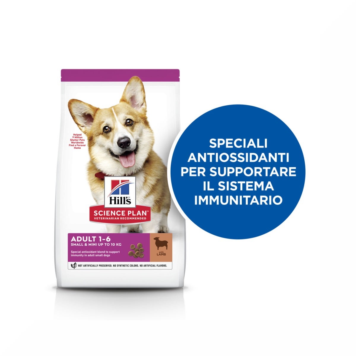 Hill's Science Plan Small & Mini Adult Crocchette con Agnello e Riso per Cani Sacco 6 Kg