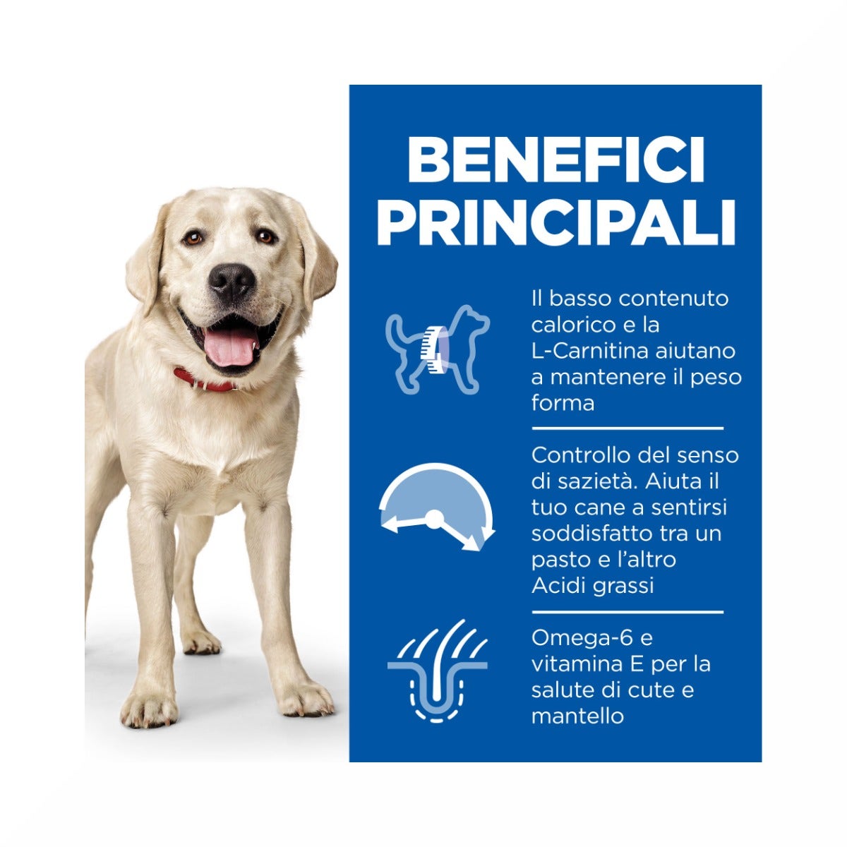 Hill's Science Plan Light Adult Crocchette Con Pollo Per Cani Taglia Large Sacco 14 Kg