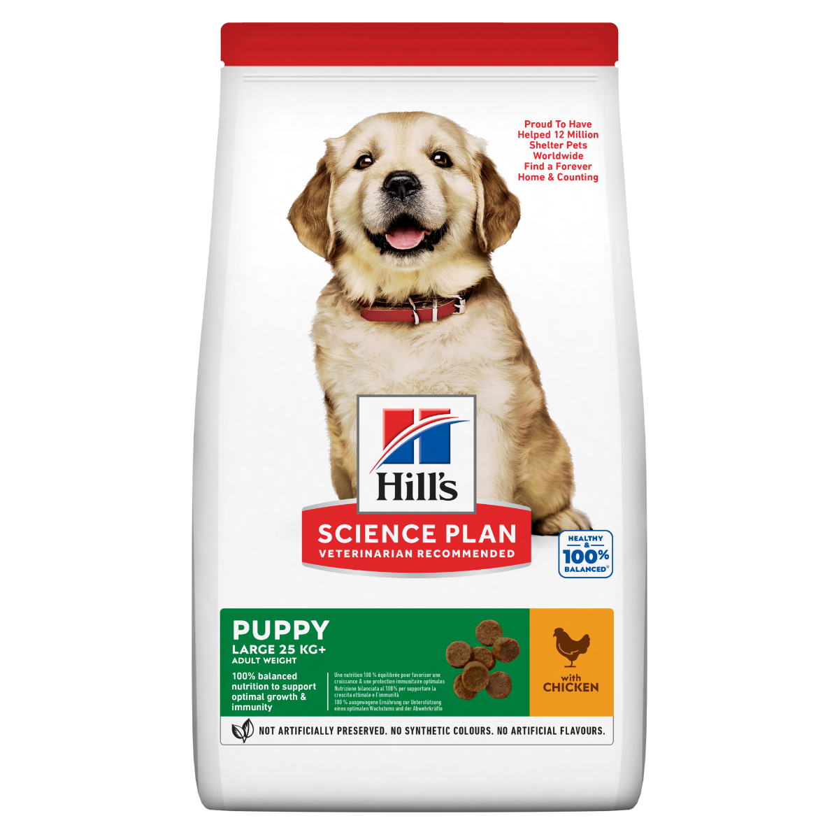 Hill's Science Plan Large Breed Puppy Crocchette Con Pollo Per Cuccioli Sacco 14,5Kg