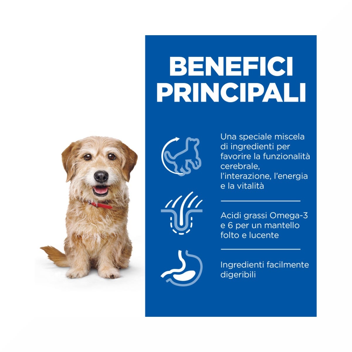 Hill's Science Plan Senior Vitality Mature Adult 7+ Crocchette Con Pollo E Riso Per Cani Taglia Piccola 1,5Kg