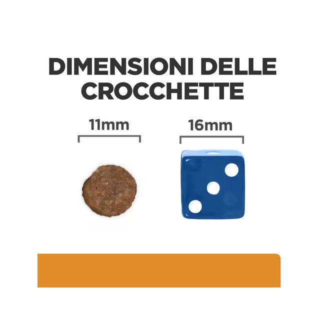 HUILE ESSENTIELLE DE ŒILLET 10 ML