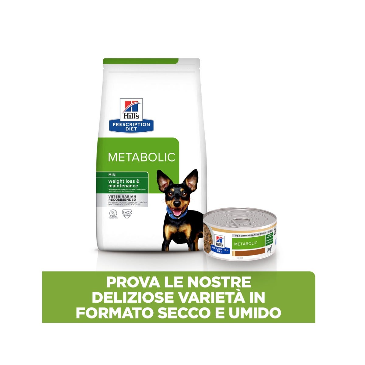 Chicco Jeu Bus scolaire parlant ABC 9-36 mois