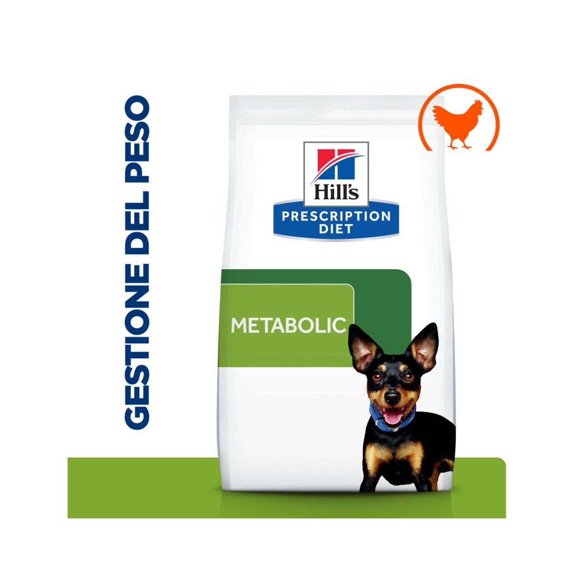 Chicco Jeu Bus scolaire parlant ABC 9-36 mois