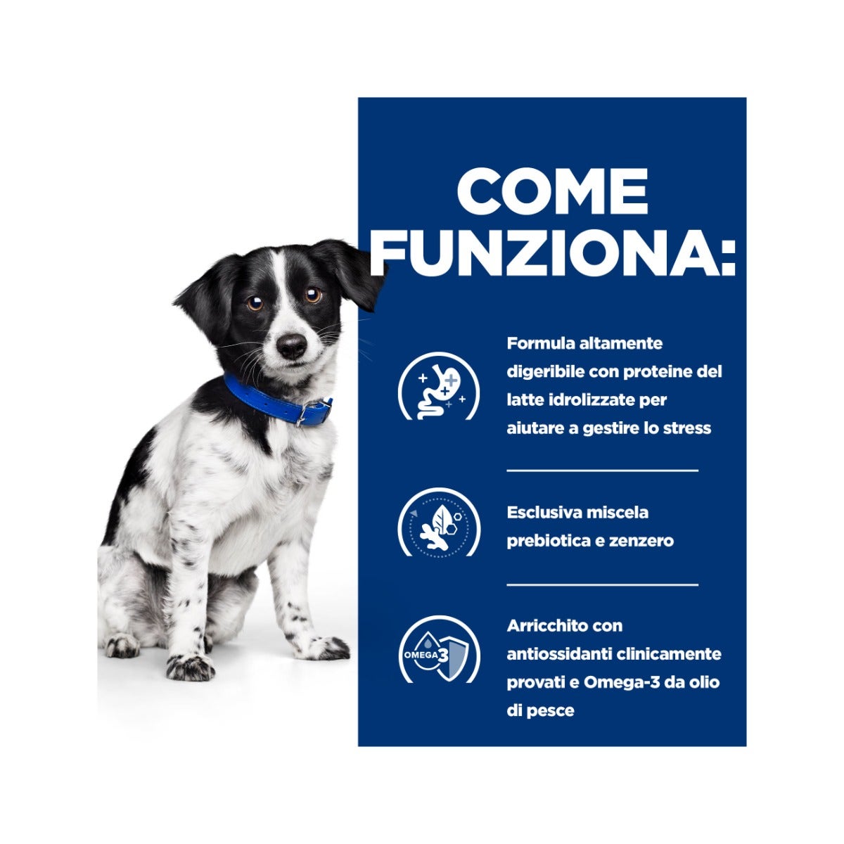 NATURMIL OMÉGA 3 1000 MG 90 COMPRIMÉS