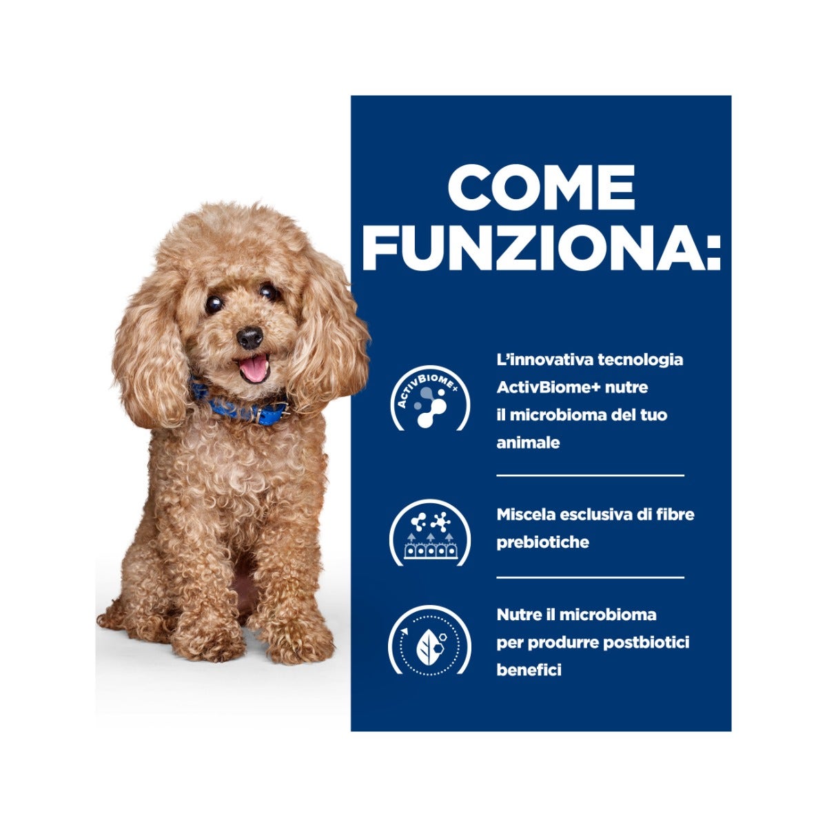 Hill's Prescription Diet Mini Gastrointestinal Biome Crocchette Per Cani Taglia Piccola Sacco 6Kg