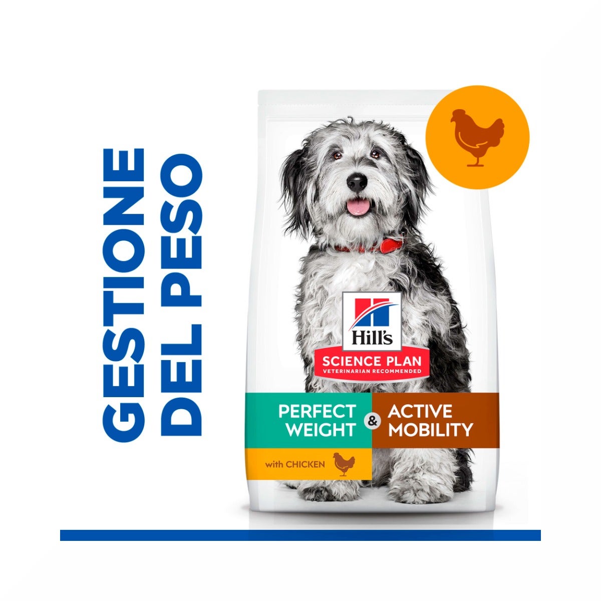 Hill's Science Plan Perfect Weight & Active Mobility Adult Crocchette Con Pollo Per Cani Taglia Media Sacco 12 Kg