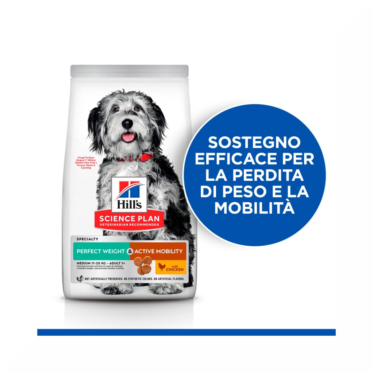 Hill's Science Plan Perfect Weight & Active Mobility Adult Crocchette Con Pollo Per Cani Taglia Media Sacco 12 Kg