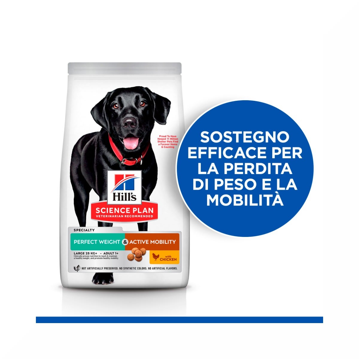 ATIPLUS POWER 30 sachets