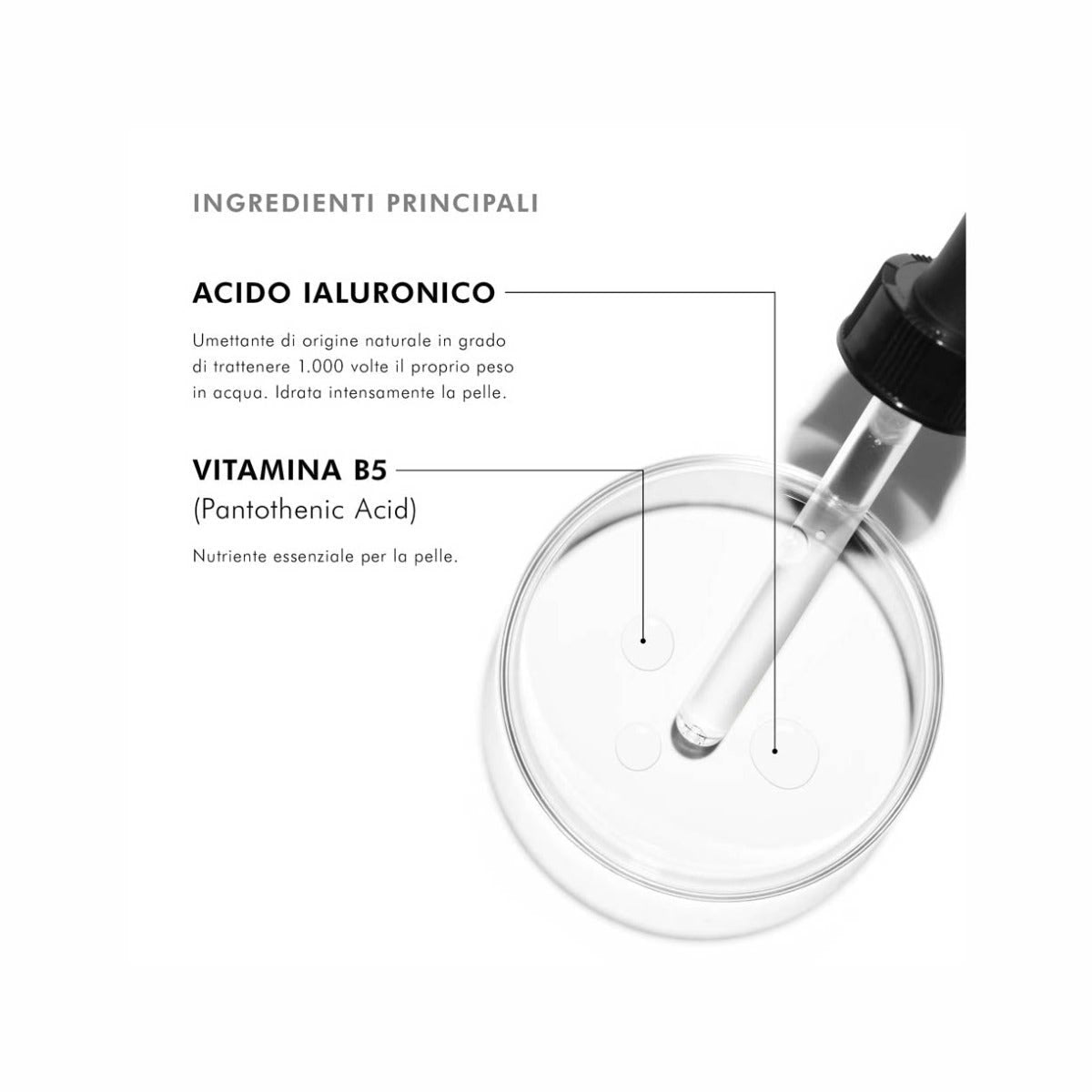SkinCeuticals Hydrating B5 Siero Viso Con Acido Ialuronico 30 ml