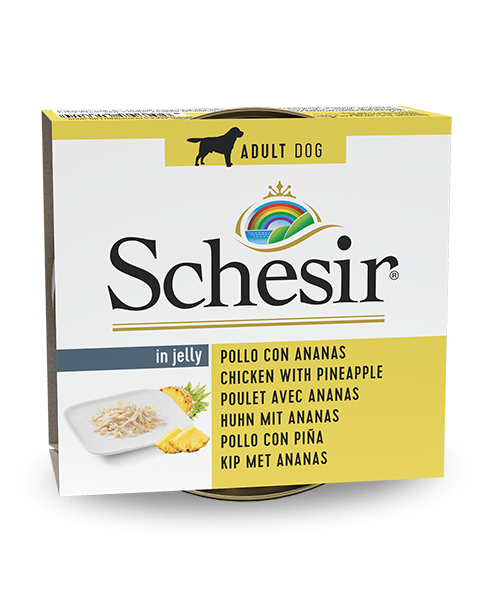 Schesir Thon au saumon, nourriture humide pour chats adultes, lot de 6 x 50 g