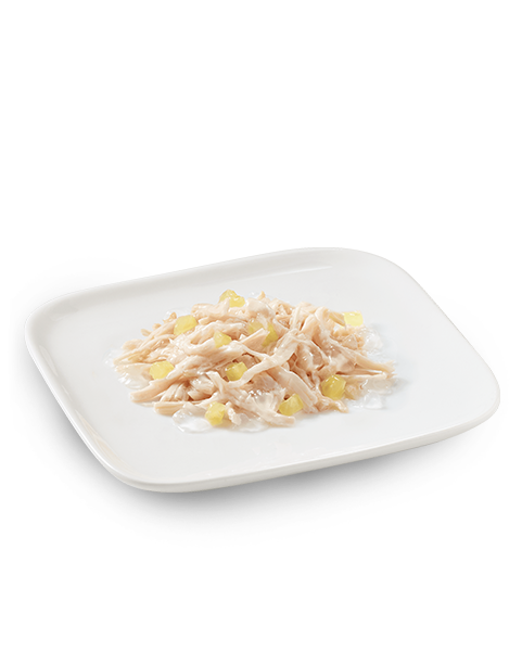 Schesir Thon au saumon, nourriture humide pour chats adultes, lot de 6 x 50 g