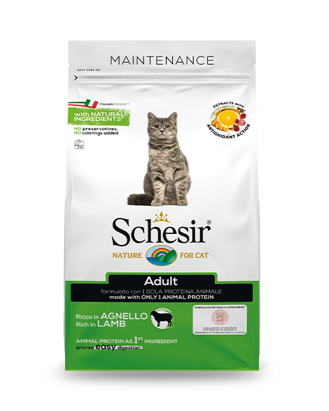 Stuzzy Monoprotein au bœuf, nourriture humide pour chiens adultes, boîte de 400 g