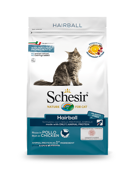 Stuzzy Monoprotein au sanglier et aux mûres, nourriture humide pour chiens adultes, boîte de 400 g