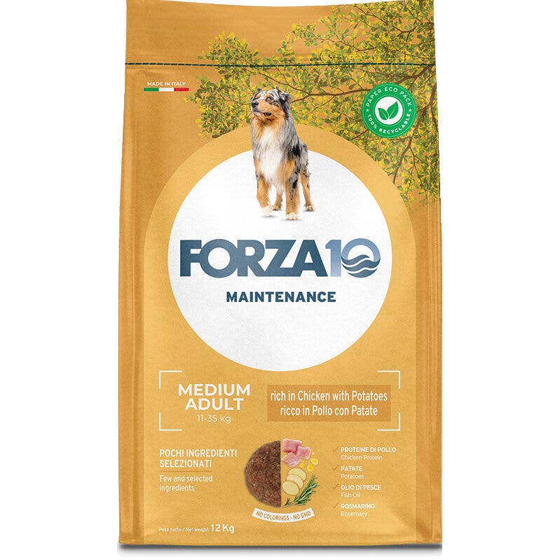 Forza10 Maintenance Poulet et Pommes de Terre Croquettes pour Chiens Adultes Sac de 12 kg