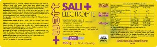 Sali+ Électrolytes Citron 500 g
