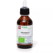Fitomedical Derivé de bourgeon de prunellier bio 100 ml