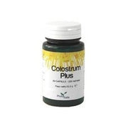 GYMNEMA SYLVESTRIS 60 CAPSULES