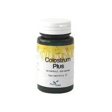 GYMNEMA SYLVESTRIS 60 CAPSULES