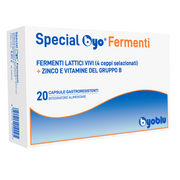 Special Byo Ferments 20 gélules