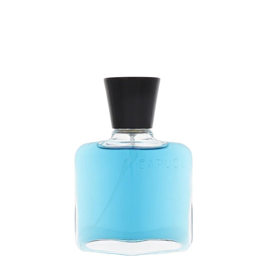 Roberto Capucci Blue Water Homme Eau de Parfum 100 ml