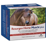 Resurgen Horse Muscle Plus, aliment complémentaire pour la masse musculaire des équidés, 20 sachets