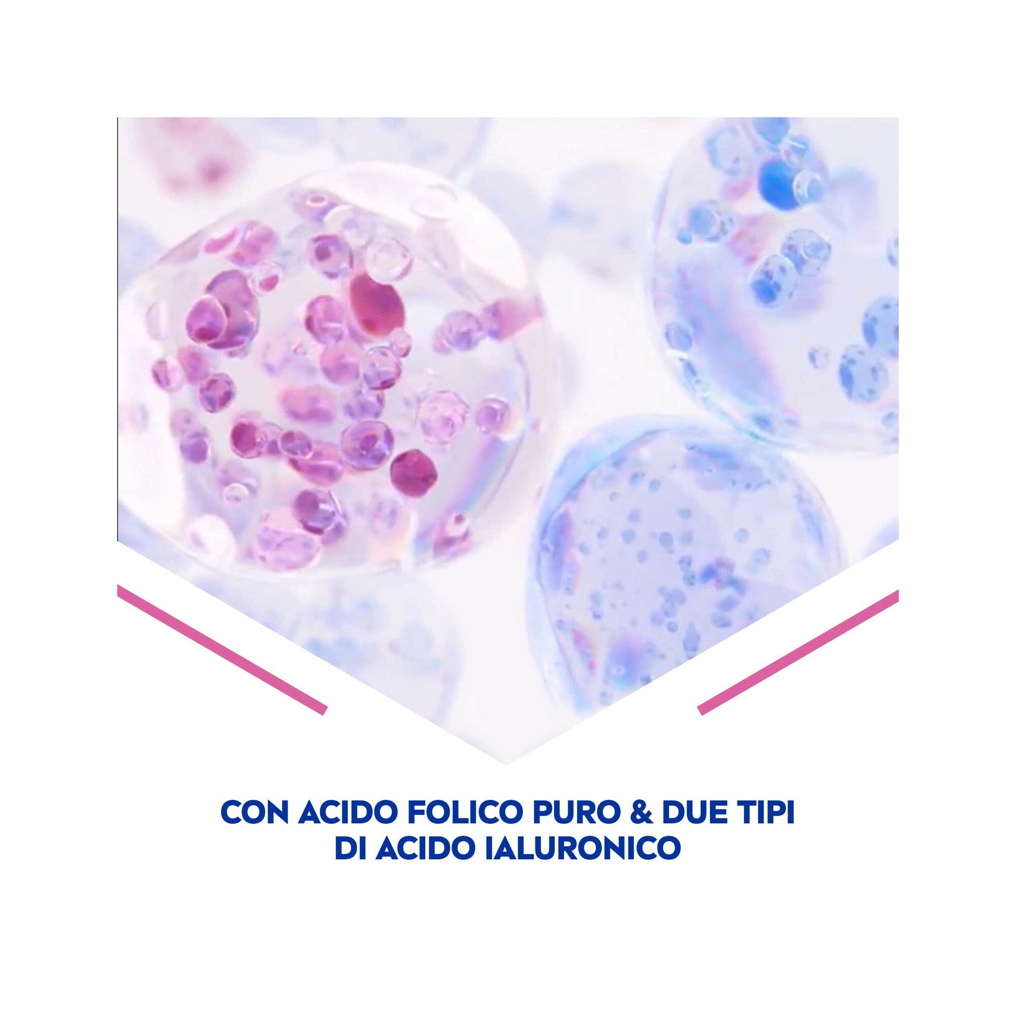 INONOTUS MICO INTEGRA 60 gélules