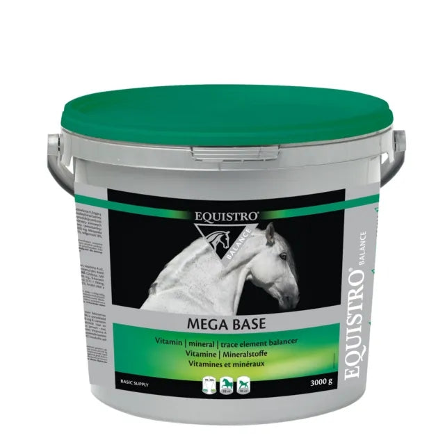Haemolytan 400 Equistro Aliment complémentaire bien-être pour chevaux de sport 1 litre